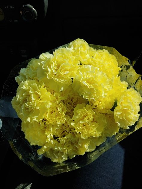 Carnation Aesthetic, Carnation Wallpaper, Yellow Carnations, Nothing But Flowers, Magical Garden, Happy Colors, Pretty Flowers, Yellow Flowers, The House