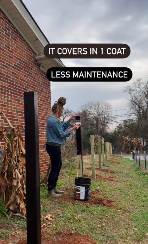 Paint Fence Ideas Backyards, Black Fence Paint, Painted Wood Fence, Black Garden Fence, Staining Wood Fence, Easy Garden Ideas, Metal Fence Posts, Yard Diy, Fence Stain