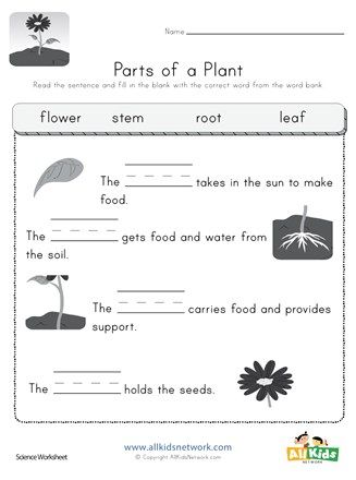 Learn about plants with this fun worksheet. Read the sentence and fill in the blank with the correct word from the word bank. Plant Parts Worksheet, Part Of Plants Activities, Plants Kindergarten, Plant Lessons, Plants Worksheets, Plant Parts, Materi Bahasa Inggris, Biology Worksheet, Planting For Kids