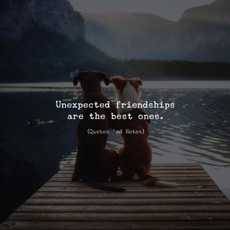 Unexpected Friendship Quotes Friends, Bhai Behn, Picnic Quotes, Recipe Quotes, Unexpected Friendship Quotes, Unexpected Friendship, Best Friendship Quotes, Forever Quotes, Besties Quotes