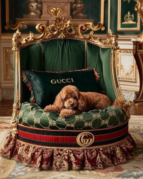 If Only | AI artist (@ifonly.ai) • Photos et vidéos Instagram Gucci House Decor, Luxury Dog Bedroom, Luxury Pet Room, Dog Bed Aesthetic, Creative Dog Bed, Fancy Dog Beds, Wooden Pet Bed, Dog Luxury, Big Dog Beds