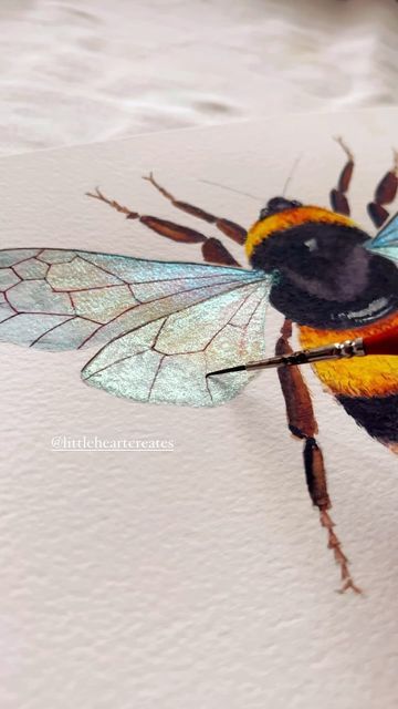 Dragonfly Drawing, Metallic Watercolor, Bumble Bee Art, Bee Drawing, Bee Painting, Art Tutorials Watercolor, Watercolor Projects, Insect Art, Bee Art