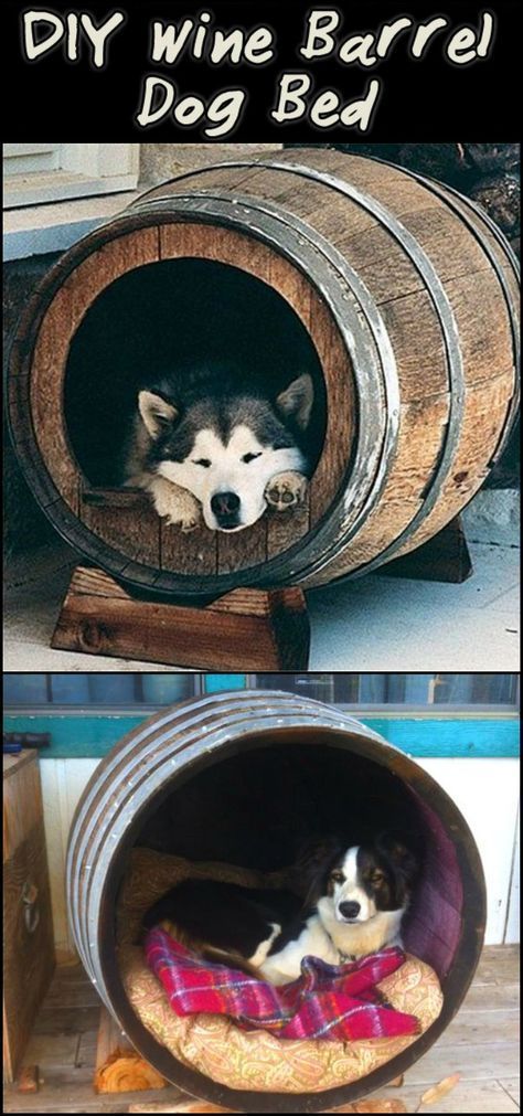 Barrel Dog House, Barrel Dog Bed, Wine Barrel Dog Bed, Dog Nook, Dogs House, Comfy Dog Bed, Barrel Decor, Cool Dog Houses, Dog House Diy