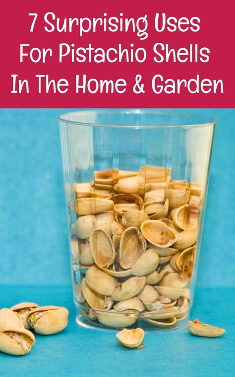 Wow - who knew you could do so much with pistachio shells! Pistachio Nut Shell Crafts, How To Use Pistachio Shells, Pistachio Shell Art Ideas, Crafts Using Pistachio Shells, Pistachio Art Ideas, Craft With Pistachio Shells, Crafts With Pistachio Shells, Pistachio Shell Art, Art With Pistachio Shells