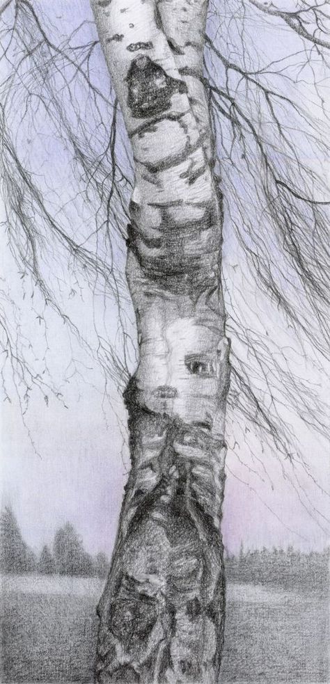 Pastel Pencil Drawing, Birch Trees Landscaping, Tree Drawings Pencil, Forest Drawing, Pencil Trees, Tree Textures, Sky Artwork, Art Pastel, Illustrator Artist