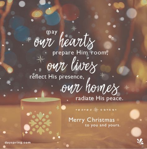 Christian Christmas Quotes, Faith Qoutes, Christmas Wishes Messages, Christmas Posts, Best Christmas Quotes, Christmas Quotes Inspirational, Christmas Verses, Xmas Quotes, Christmas Scripture