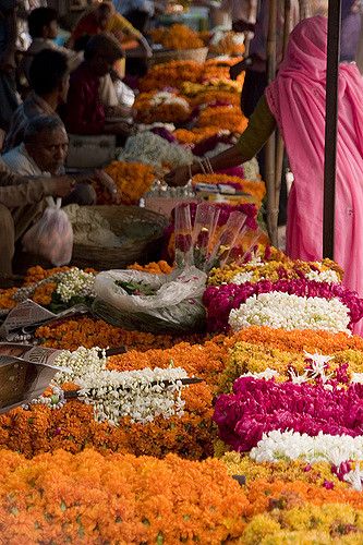 Indian Flower Market Aesthetic, Indian Flower Aesthetic, Indian Market Aesthetic, Indian Flower Market, Jaipur Aesthetic, Flower Market Aesthetic, Flowers Indian, Planner Logo Design, South Asian Culture