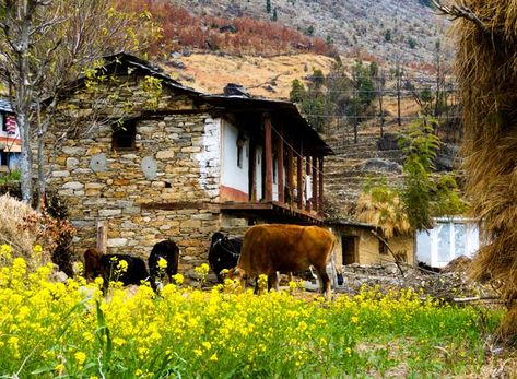 Munsiyari Uttarakhand, Garhwali Culture, Uttarakhand Culture, Cloudy Landscape, Char Dham Yatra, Indian Houses, Char Dham, Travel Points, Urban Sketches