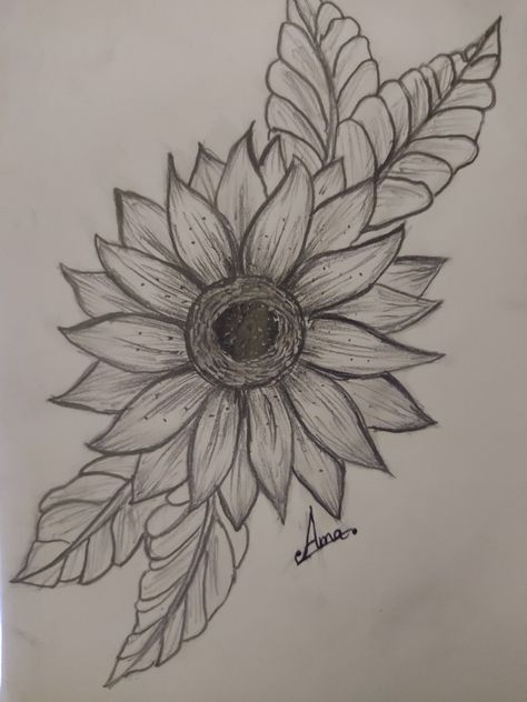 Sun Flower Drawing Doodles, Sunflower Sketch Pencil, Cute Sunflower Drawing, Sunflower Drawing Pencil, Sketched Sunflower, Sunflower Pencil Drawing, Easy Sunflower Drawing, Sunflower Drawing Simple, Sunflower Drawings