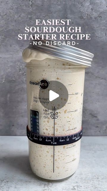 Easy Sourdough Starter, Best Sourdough Starter Recipe, Water Bread, Dough Starter Recipe, Sourdough Starter From Scratch, Gluten Free Sourdough Starter, Easy Sourdough Bread Recipe, Bread Recipe Video, Dough Starter