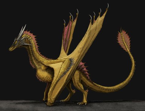 Sunfyre "The Golden" Drawn in pencil, colored digitally. #art #animal #reptile #dragon #wyvern #targaryen #houseofthedragon #sunfyre | Instagram Wyvern Art, Dragon Wyvern, Game Of Thrones Dragons, Got Dragons, Dragon Artwork Fantasy, Blood Art, Fantasy Beasts, Game Of Thrones Art, Dragon Pictures