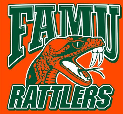 Florida A&M Rattlers Florida A&m University Rattlers, Florida A&m University, Famu College Aesthetic, Famu Rattlers, Florida State University Football, Aggie Pride, Trunk Party, College Vision Board, Georgia Dawgs