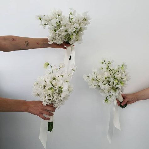 Bridesmaids With No Bouquets, Bridesmaid White Bouquet Simple, Small Bridesmaids Bouquets Simple, Small Green And White Bouquet, Bridesmaids Bouquets Single Flower, Simple Small Bridal Bouquet, Bridesmaid Nosegay Bouquet, Mini Bouquets For Bridesmaids, Small Bridesmaid Bouquet Greenery