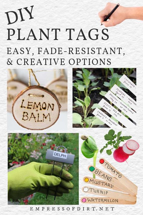 How To Make Plant Tags (Best Practical & Creative Options) Seed Labels Diy Plant Markers, Diy Plant Labels For Garden, Plant Tags Diy Garden Markers, Diy Garden Markers Plant Labels, Garden Tags Plant Markers, Garden Name Tags, Garden Labels Plant Markers, Plant Tags Diy, Plant Labels Diy