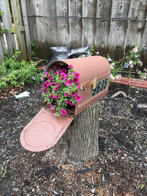 Repurposed old mailbox Mailbox Garden Ideas, Mailbox Planter, Old Mailbox, Mailbox Garden, Mailbox Landscaping, Vintage Gardening, Cottage Garden Plants, Garden Junk, Cottage Garden Design