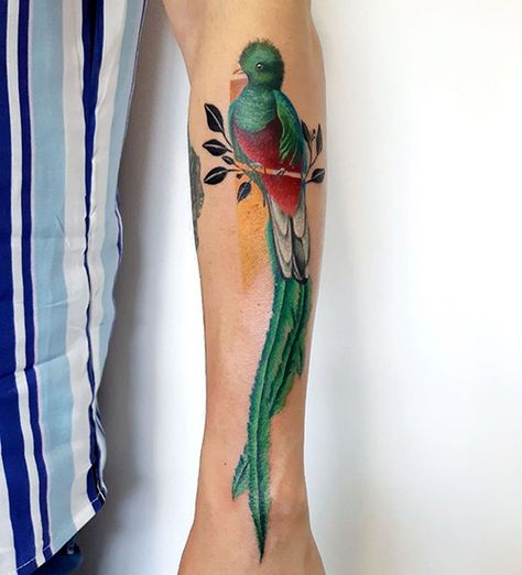 33 Adorable Bird Tattoo Designs With Meanings Tropical Bird Tattoo, Guatemala Tattoo Ideas Design, Quetzal Tattoo Guatemalan, Quetzal Bird Tattoo, Guatemalan Tattoo, Guatemala Tattoo Ideas, Flower Tattoo Black And White, Guatemala Tattoo, Flower Tattoo Black