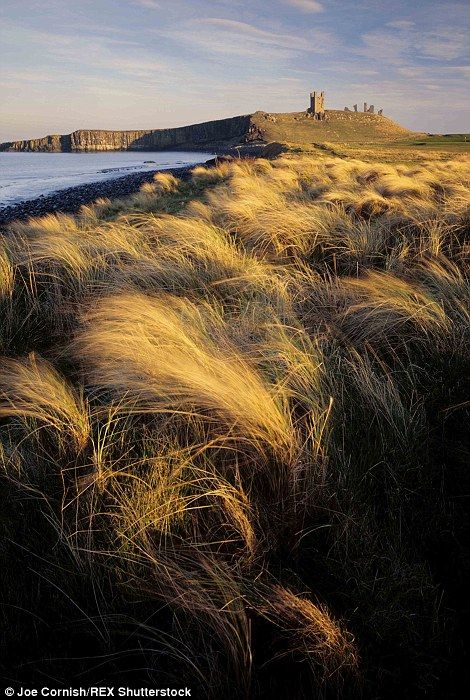 The Northumberland coast came in at number seven. A view of Dunstanburgh Castle during the walk from Craster to Low Newton is pictured Uk Walks, British Woodland, Landscape Photography Beach, Dunstanburgh Castle, Northumberland England, Northumberland Coast, Sea Scapes, Number Seven, Pembrokeshire Coast