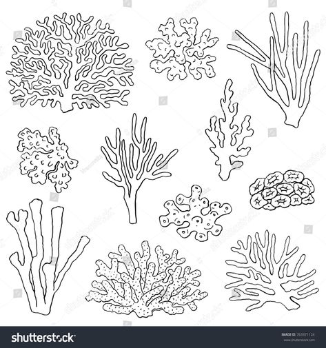 Corals hand drawn illustrations. Ocean plants and coral reef elements isolated on white. Vector corals graphic collection. #Ad , #Ad, #Ocean#plants#coral#illustrations Coral Reef Plants, Coral Reef Drawing, Coral Tattoo, Coral Drawing, Coral Reef Art, Plants Drawing, Easy Graffiti, Ocean Plants, Ocean Drawing