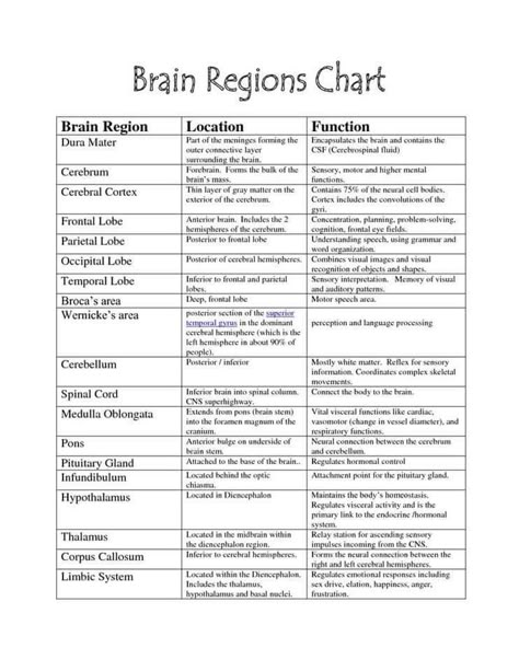 brain regions chart Brain Diagram, Brain Regions, Ap Psych, Anatomy Organs, Brain Parts, Ap Psychology, Brain Anatomy, Brain Science, Counseling Resources