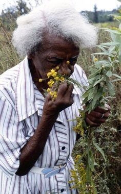 Black Cottagecore, Traditional Healer, Black Photography, Black Excellence, Brown Skin, Black People, Black Art, Beautiful People, North Carolina