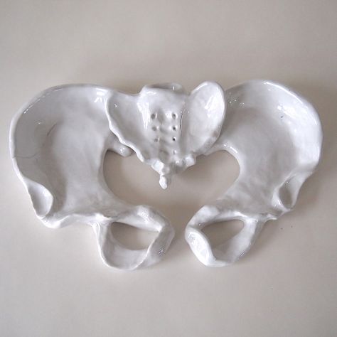 Ceramic Pelvis Plates with Condiment Sacrum, Stoneware, Millicent Kennedy Ceramic Anatomy, Anatomy Ceramics, Anatomy For Sculptors, Sculpture Art Clay, Polymer Clay Dolls, Polymer Clay Miniatures, Pottery Crafts, Ceramics Pottery Art, Ceramics Projects