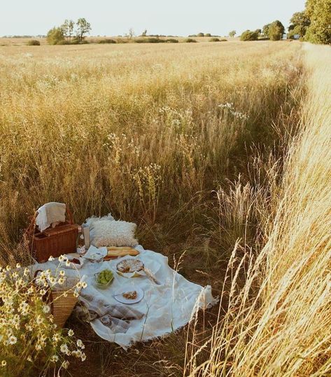 BST on Instagram: “Tag your friends that you would like to spend time with” Interior Boho, Slow Life, Irish Whiskey, A Picnic, Photo Images, Nature Aesthetic, Pretty Places, Country Life, Farm Life