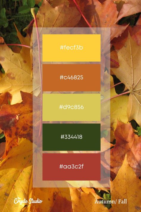 Autumn Color Palette, Hex Color Palette, Color Schemes Colour Palettes, Palette Art, Green Paint Colors, Hex Codes, Office Colors, Pastel Colour Palette, Fall Color Palette