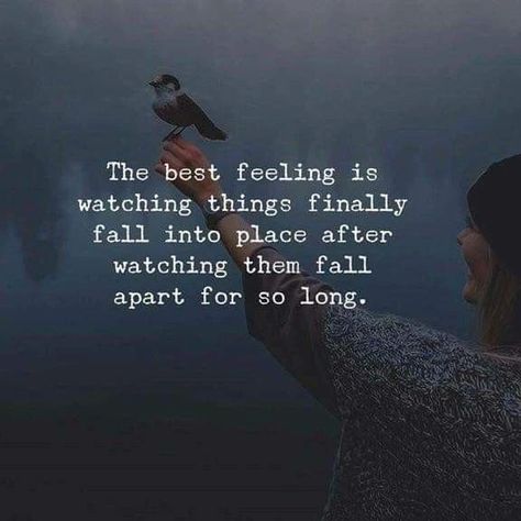 Falling Into Place Quotes, Falling Into Place, Place Quotes, Best Feeling, Motiverende Quotes, Quotes And Notes, Uplifting Quotes, Quotable Quotes, The Change