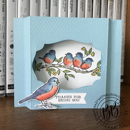 Bird Shadow, Shadow Box Cards, Embossed Cards Handmade, Cat Cards Handmade, Box Cards Tutorial, Free As A Bird, Simple Birthday Cards, Bird Stamp, Hand Stamped Cards