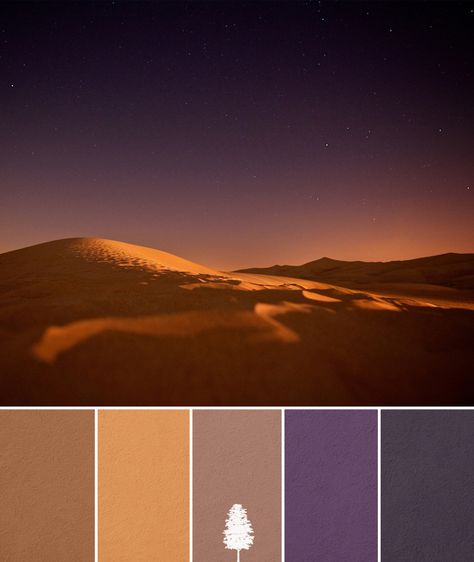 Home Color Palette Ideas: Desert Night Desert Night Color Palette, Desert Decoration Ideas, Night Color Palette, Desert Color Palette, Bohemian Living Room Ideas, Home Color Palette, Desert Night, Desert Style, Color Palette Ideas