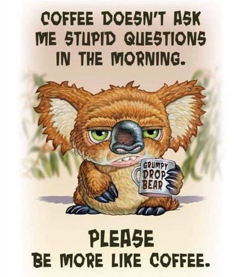 Bear Quotes, Drop Bear, Funny Day Quotes, Inspirerende Ord, Funny Cartoons Jokes, Good Morning Funny, Funny Quotes Sarcasm, Funny Jokes For Adults, Funny Cartoon Quotes