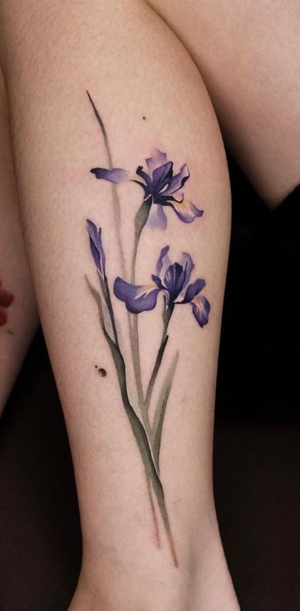 Roses/lotus/violet/iris Tattoo, Iris And Larkspur Tattoo, Blue Iris Flower Tattoo, Violets And Iris Tattoo, Blue Flag Iris Tattoo, Hummingbird Iris Tattoo, Siberian Iris Tattoo, Purple Iris Tattoo Design, Iris And Hummingbird Tattoo