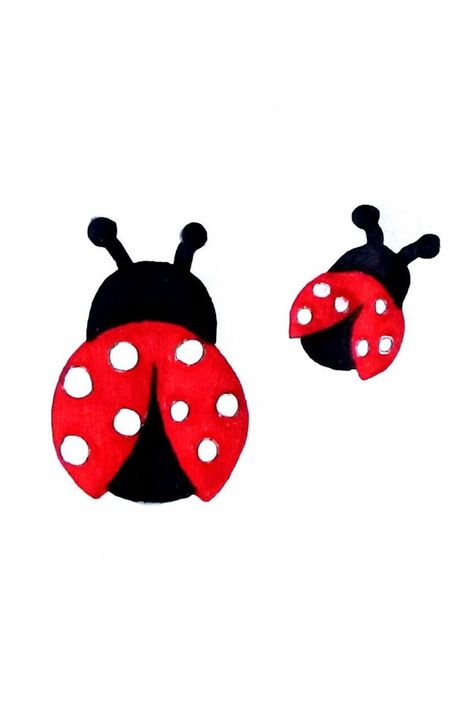 Learn How to Draw How to Draw a Ladybug Step by Step- Easy Ladybug. Ladybug Sketch, Drawing Video Tutorial, Draw A Ladybug, Bugs Drawing, Green Tree Frog, A Ladybug, Lady Bird, Tree Frogs, Animal Sketches