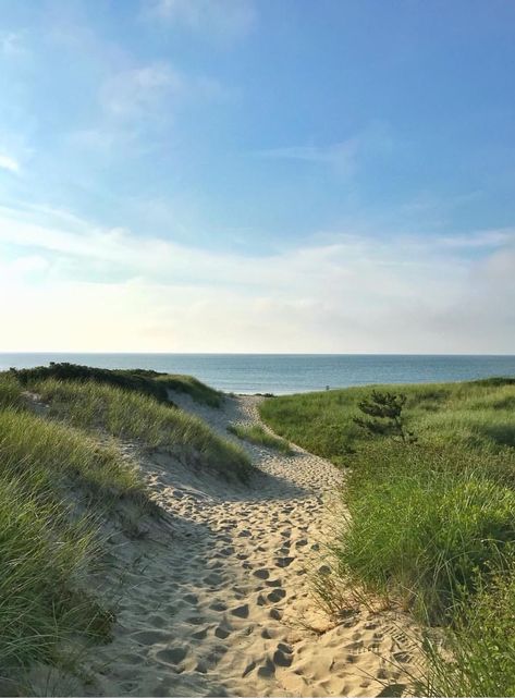 Beach Grass Aesthetic, Nantucket Island, Beach Aesthetic, Nature Aesthetic, Beautiful Places To Visit, Pretty Places, Beach Vibe, Nantucket, Summer Aesthetic