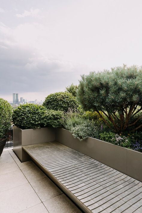 Green Terrace Design, Architecture Proposal, Penthouse Garden, Garden Edge, Green Roof Garden, Roof Terrace Design, Roof Garden Design, Terrasse Design, Mediterranean Plants