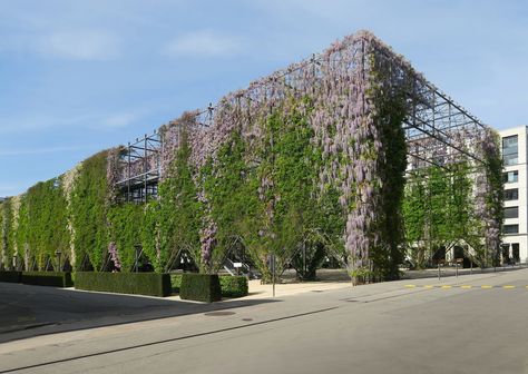 Paul Clemence Captures Burckhardt & Partners' Zürich’s MFO Park in Bloom | ArchDaily Trellis System, Green Facade, Green Stuff, Architecture Collage, Architecture Ideas, Green Architecture, Urban City, Hanging Garden, Park Homes