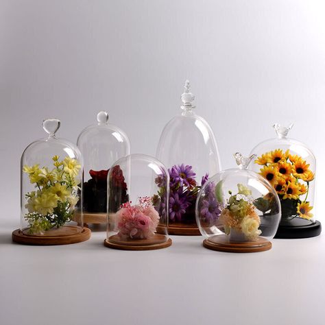 Product Details Clear Glass Cloche Bell Jar Flower Vase LED Lighting Dome Display & Wooden Base Features: This elegant glass bell jar is perfect for adding some classic style to your home. Perfect for displaying your treasured collectibles, creating a Christmas scene, Valentine's day or filling with twinkling fairy lights for a truly magical look Can preserve your flower for long time for display, it is good for as a gift. Suitable for home decoration, furniture, craft ornaments, floral decorations, collections, gifts and so on. It's the perfect decoration for your home during the all season/Halloween/Thanksgiving/Christmas. Specification: Material: Glass Jar & Wooden Base Color: Clear (accessories not included) Size: Diameter* Height: 9x15cm, 9x25cm, 11x15cm, 11x20cm, 12x20cm Features: Ba Bell Jar Decor, Ball Display, Glass Bell Jar, Standing Display, Jar Display, Jars For Sale, Glass Dome Display, Ball Jar, Diy Ornament