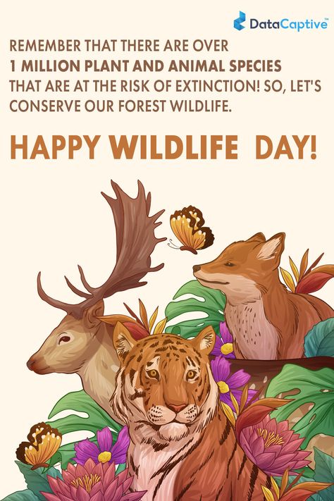 Save Wildlife Poster Painting, Save Wildlife Poster Ideas, Save Animals Poster, World Wildlife Day, Online Preschool, Bank Job, Project Cover Page, Forest Conservation, Wildlife Protection