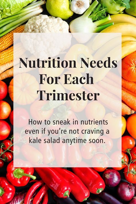 Nutrition needs for each trimester Foods For Third Trimester, 3rd Trimester Diet, Third Trimester Nutrition, 3rd Trimester Food To Eat, 2nd Trimester Meals, Second Trimester Meals, 3rd Trimester Meals, Third Trimester Meals, First Trimester Food