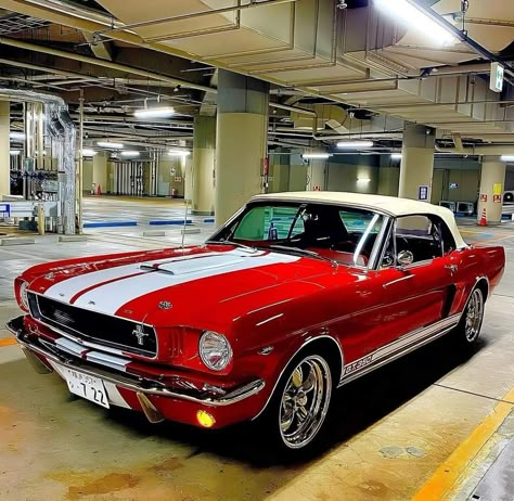 Ford Mustang 1969, 1979 Ford Truck, Mustang 1967, Ford Mustang Classic, Cars Mustang, Mustang Classic, Muscle Cars Mustang, Vintage Mustang, New Mustang