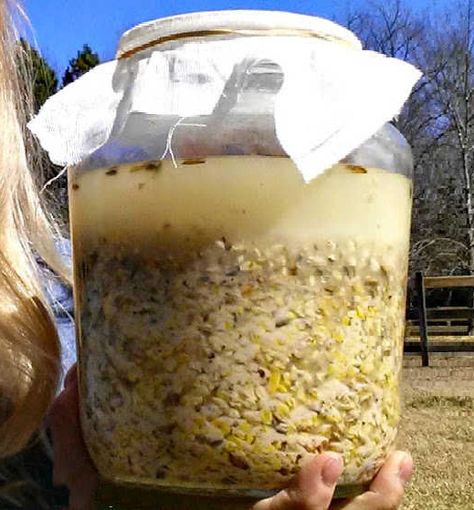 How to Save Money by Fermenting Chicken Feed - Fresh Eggs Daily® Fermented Chicken Feed, Fermenting Chicken Feed, Animal Tips, Chicken Life, Chicka Chicka, Eat Less, Animal Husbandry, Chicken Garden, Brewers Yeast