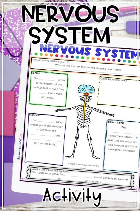 Nervous system | Distance Learning | Engage your grade 4 5 6 science students to review the brain spinal cord and nerves about the nervous system human body distance learning activity. Students will learn about the parts, function, and how this body system works to control the activities of the human body. Includes scaffolded notes for differentiation in your science center or home school classroom. #science #homeschool #remotelearning Human Body Nervous System, Nervous System Activities, Life Science Activities, Science Homework, Human Body Activities, Science Centers, Technology Tips, Upper Elementary Resources, Human Body Systems