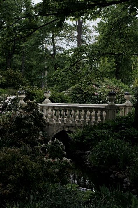 Gothic Garden, Castle Aesthetic, Victorian Garden, Slytherin Aesthetic, Castle Garden, Dark Academia Aesthetic, Photo Vintage, Fantasy Aesthetic, Dark Forest