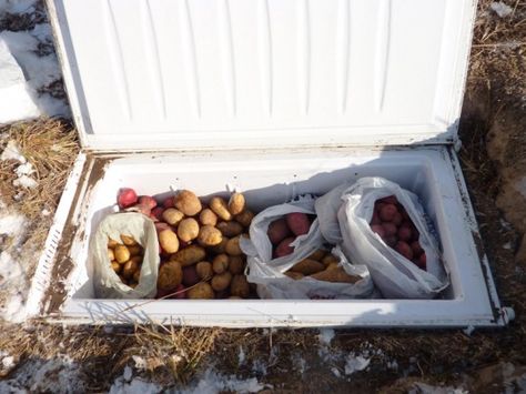 How To Build a Root Cellar From Recycled Materials. I could take the veggies from the ground to the cellar right in the garden area :) Off Grid Homestead, Off Grid Survival, Root Cellar, Summer Harvest, Homestead Survival, Water Usage, Emergency Prepping, Low Tech, Off Grid Living