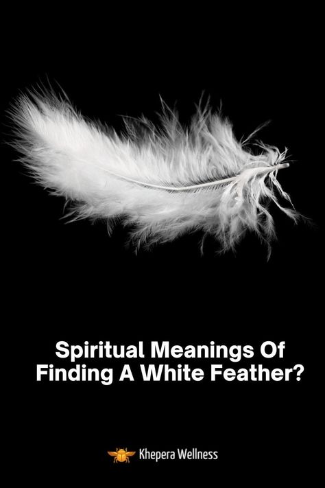 White Feather Meaning, White Feather Tattoos, Feather Quotes, Feather Magic, Native American Beliefs, Finding Feathers, Feather Symbolism, Feather Tattoo Meaning, Feather Meaning