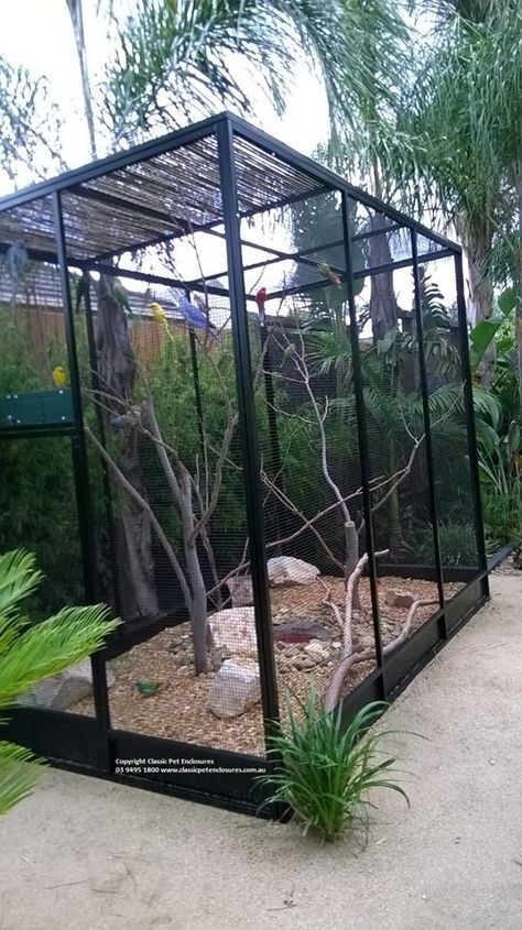 Bird Aviary Ideas, Bird Cage Ideas, Aviary Ideas, Macaw Cage, Pigeon Cage, Diy Bird Cage, Bird Cage Design, Cat Enclosures, Pet Bird Cage