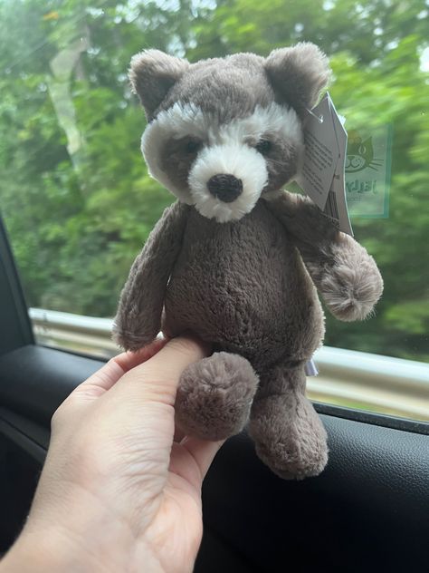 Raccoon Jellycat, Jellycat Raccoon, Aesthetic Raccoon, Plushie Aesthetic, Stuffed Raccoon, Jellycat Aesthetic, Raccoon Stuffed Animal, Jelly Cat, Jellycat Stuffed Animals