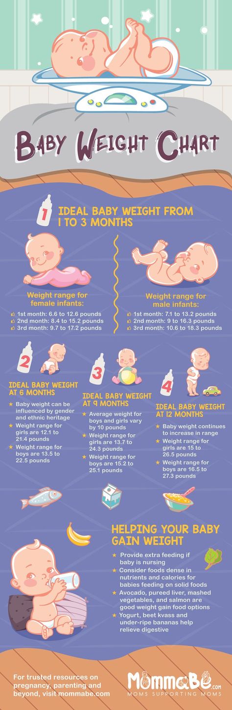 INFOGRAPHIC | Baby Weight Chart How Much Should My Baby Weigh? | average weight for babies by month Baby Weight Chart, Baby Chart, Baby Trivia, Baby Guide, Weight Chart, Weight Charts, Baby Information, Weight Baby, Baby Life Hacks