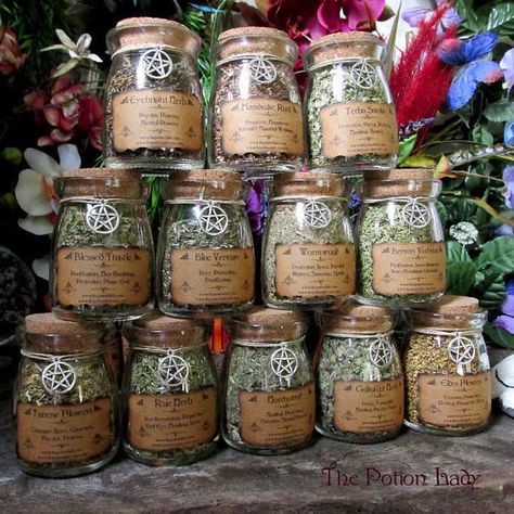 Set of Witch's Herbs Jars Sacred Herbs Wiccan by ThePotionLady Herbal Witchcraft, Hoodoo Herbs, Herbs Witch, Herb Witch, Herb Jars, Sacred Herbs, Witchcraft Herbs, Halloween Apothecary, Herb Jar