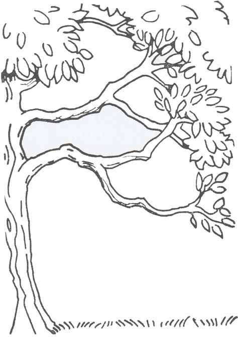 tree Drawn Trees Drawings, Outline Tree Drawing, The Giving Tree Drawing, Half Tree Drawing, Side Tree Drawing, Tree Background Drawing, Fall Trees Drawing, Tree Sketches Simple, Tree Simple Drawing